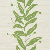 Schumacher Tendril Stripe Sisal Olive Wallpaper