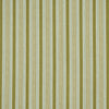 Schumacher Auguste Stripe Ciel & Leaf Fabric