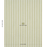 Schumacher Auguste Stripe Ciel & Leaf Fabric
