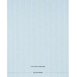 Schumacher Lucy Stripe Light Blue Fabric