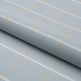 Schumacher Frannie Windowpane Light Blue Fabric