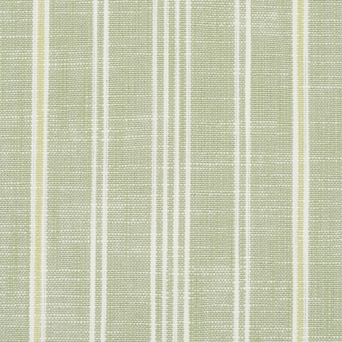 Schumacher Lucy Stripe Leaf Green Fabric