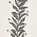 Schumacher Tendril Stripe Black & Cream Wallpaper