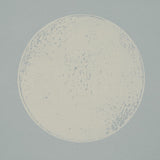Schumacher Backdrop X Schumacher Monte Carlo Soft Blue Wallpaper