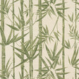 Schumacher Les Bambous Sisal Green Wallpaper
