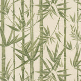 Schumacher Les Bambous Sisal Green Wallpaper