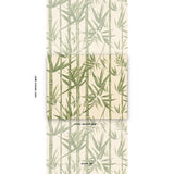 Schumacher Les Bambous Sisal Green Wallpaper