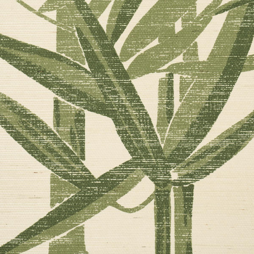 Schumacher Les Bambous Sisal Green Wallpaper