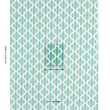 Schumacher Kai Striped Ikat Green Fabric