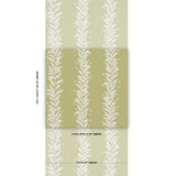 Schumacher Tendril Stripe Olive Wallpaper
