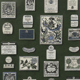 Schumacher X Backdrop Salud Rosemary Wallpaper