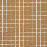 Schumacher Georgie Reversible Check Neutral Fabric