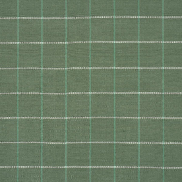 Schumacher Frannie Windowpane Green Fabric