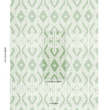 Schumacher Asaka Ikat Green Fabric