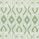 Schumacher Asaka Ikat Green Fabric