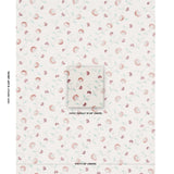 Schumacher Iyla Embroidery Rose & Natural Fabric