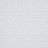 Schumacher Payne Arctic Fabric