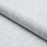 Schumacher Payne Arctic Fabric