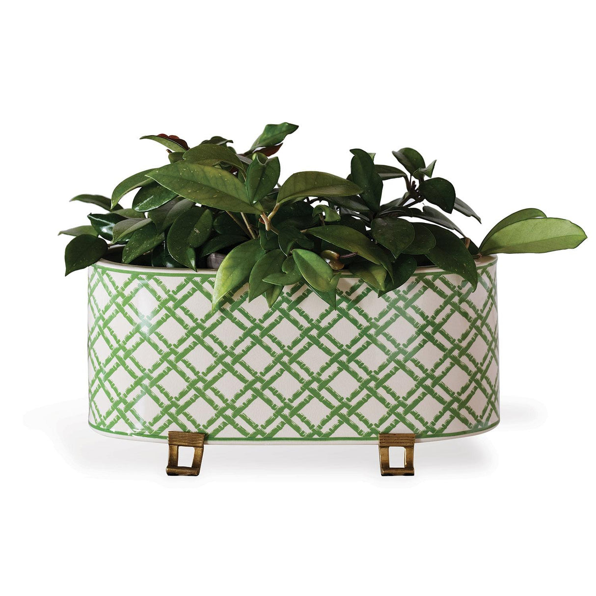 Williamsburg Bamboo Trellis Green/Cream Planter