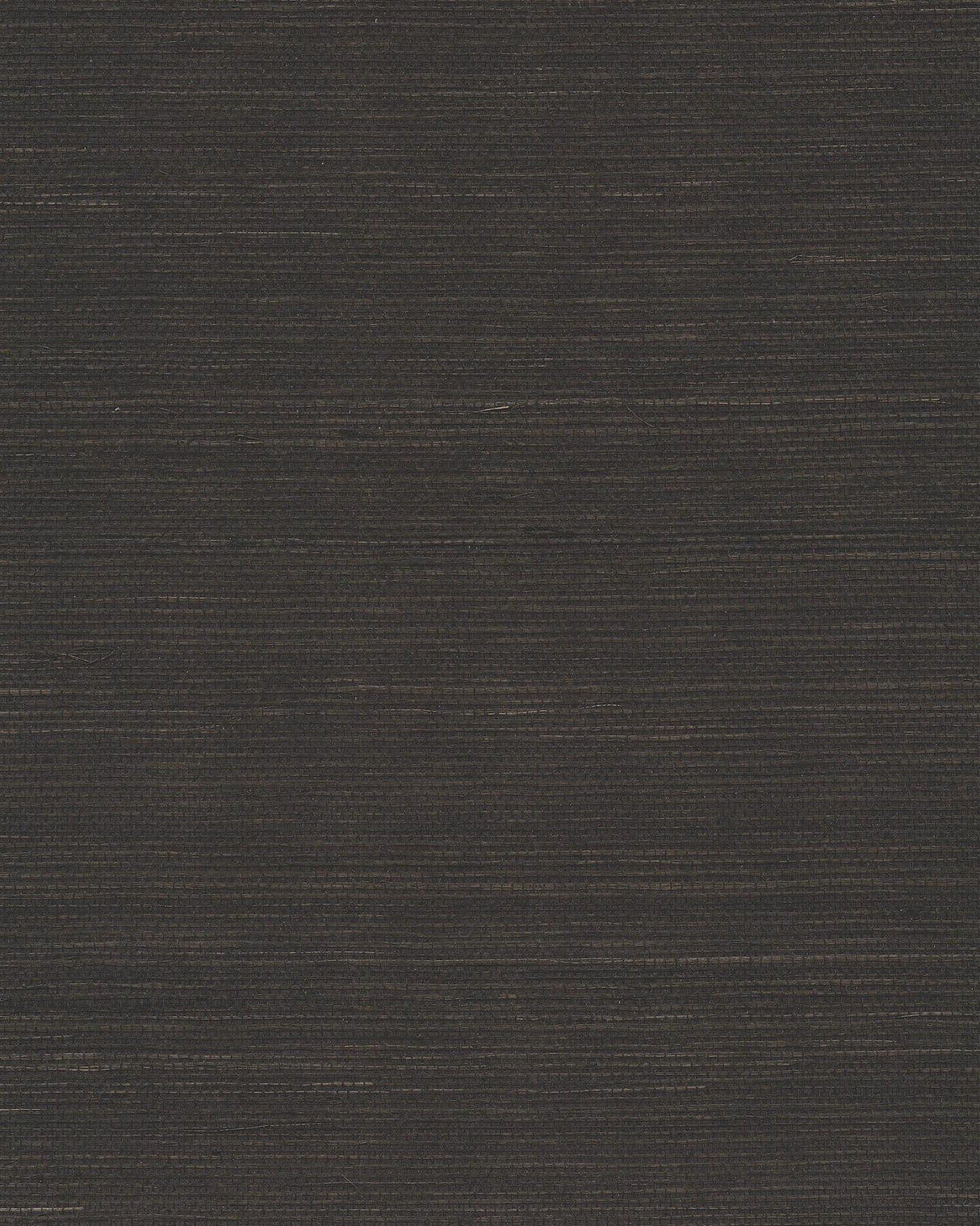 Ronald Redding Maguey Sisal Black Black Wallpaper