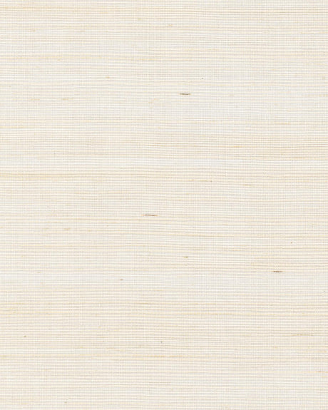 Ronald Redding Maguey Sisal Cream Cream Wallpaper