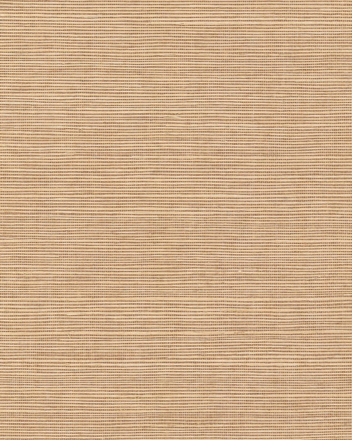 Ronald Redding Maguey Sisal Fawn Brown Wallpaper