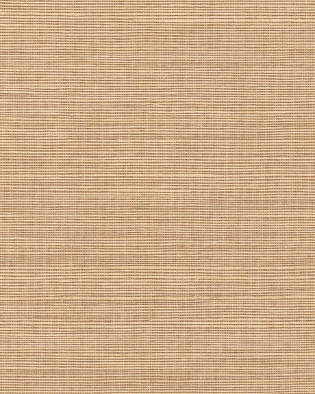 Ronald Redding Maguey Sisal Fawn Brown Wallpaper