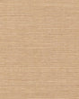 Ronald Redding Maguey Sisal Fawn Brown Wallpaper