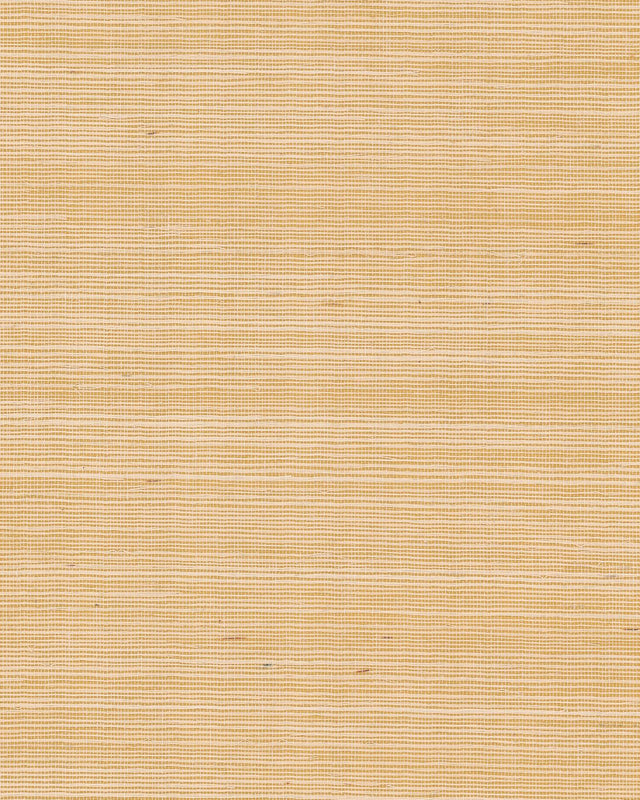 Ronald Redding Maguey Sisal Gold Gold Wallpaper