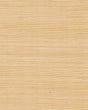 Ronald Redding Maguey Sisal Gold Gold Wallpaper