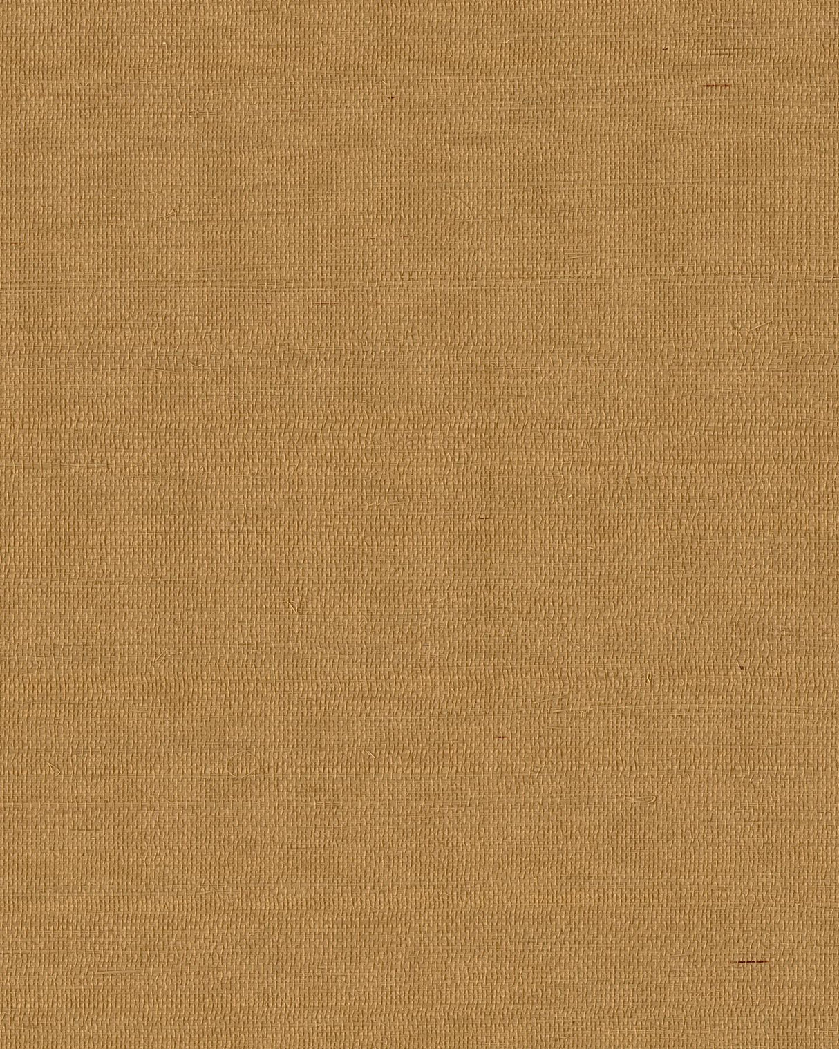 Ronald Redding Maguey Sisal Dijon Yellow Wallpaper