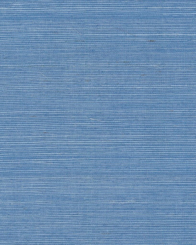 Ronald Redding Maguey Sisal Azure Blue Wallpaper