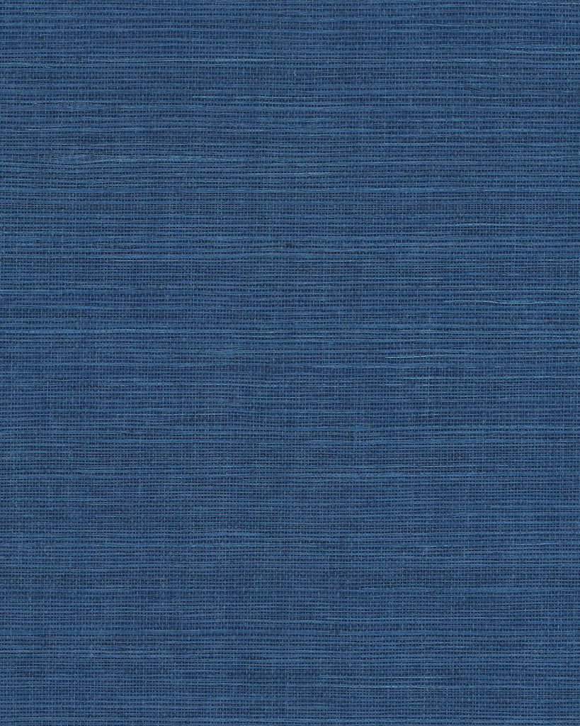 Ronald Redding Maguey Sisal Lapis Blue Wallpaper
