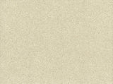 Ronald Redding Terra Mica Oyster Beige Wallpaper