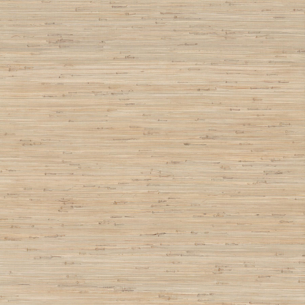 Ronald Redding Knotted Grass Natural Beige Wallpaper