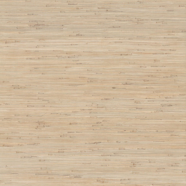Ronald Redding Knotted Grass Natural Beige Wallpaper