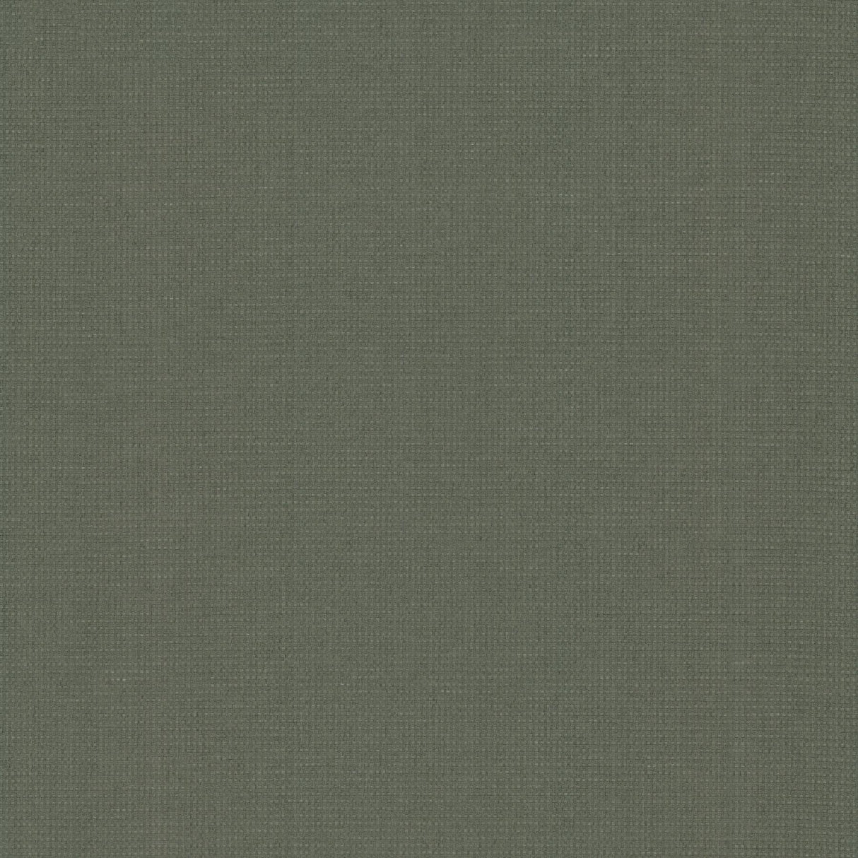 Ronald Redding Wicker Work Evergreen Green Wallpaper