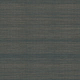 Ronald Redding Modern Abaca Peacock Blue Wallpaper
