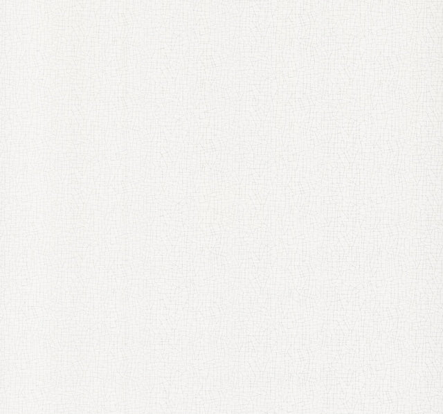 York Wallcoverings Exchange Optic White White Wallpaper