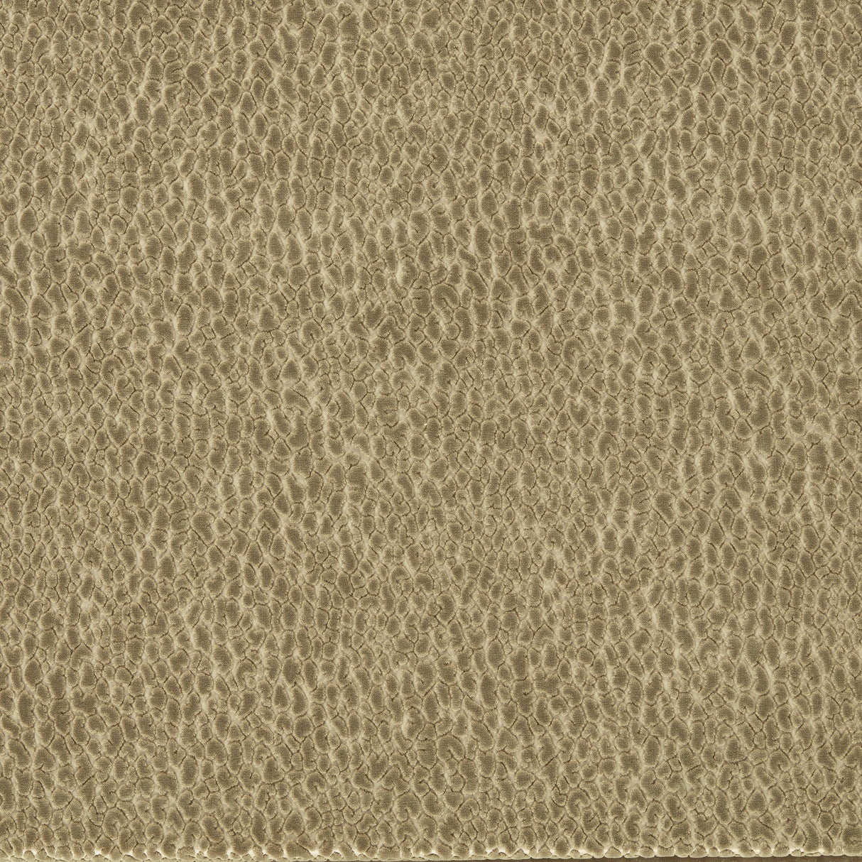 Harlequin Taupe REFLECT VELVETS Fabric