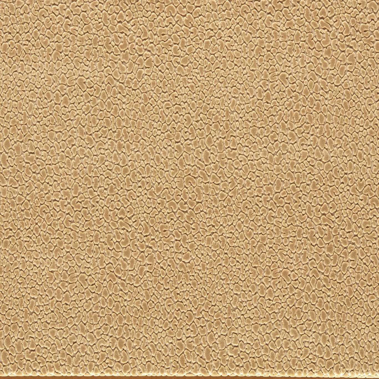 Harlequin Lacuna Sand Fabric