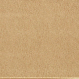 Harlequin Lacuna Sand Fabric