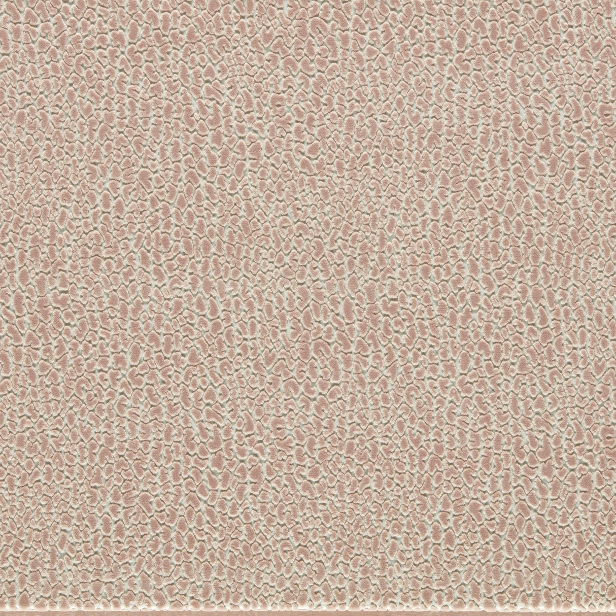 Harlequin Blush REFLECT VELVETS Fabric