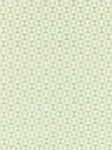 Scalamandre Parlor Velvet Pistachio Fabric