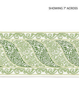 Scalamandre Paisley Embroidered Tape Meadow Trim