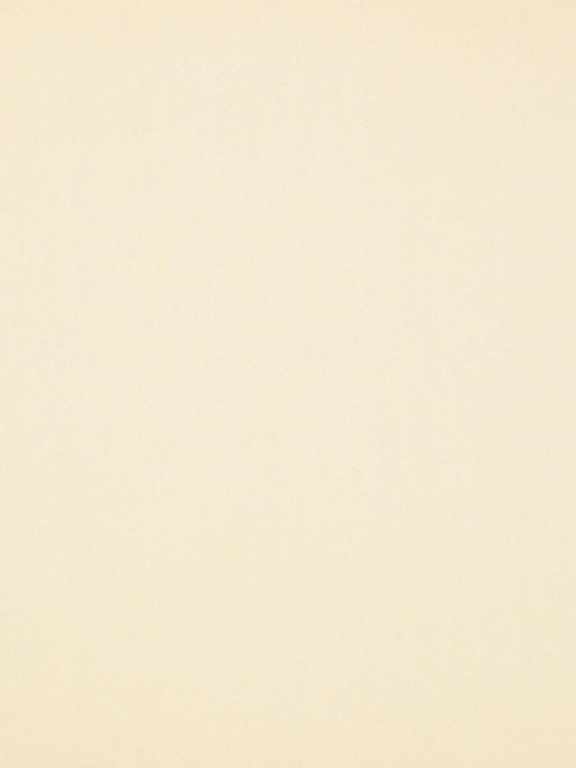 Scalamandre Rio Dulce Di Lecche Fabric