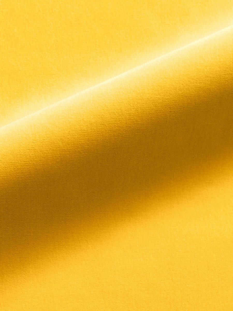 Scalamandre Linley Sunflower Fabric