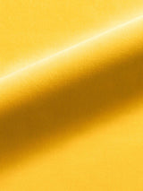 Scalamandre Linley Sunflower Fabric