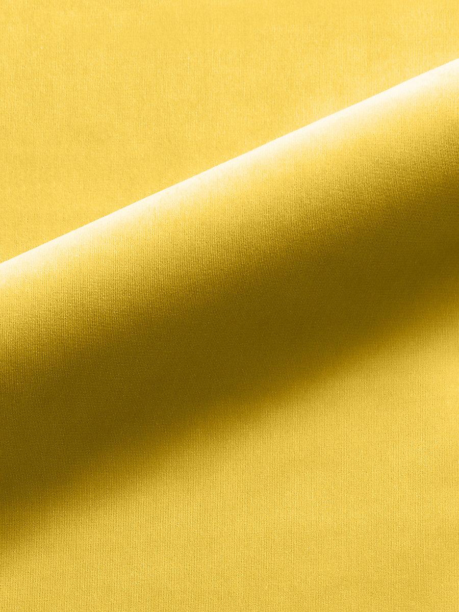 Scalamandre Linley Sun Yellow Fabric