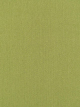 Scalamandre Rio Leaf Fabric